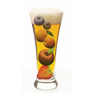 Fruit Beer