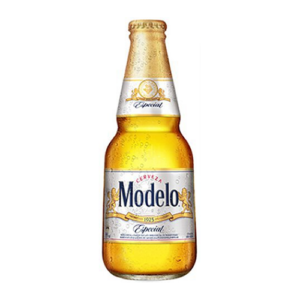 MODELO ESPECIAL