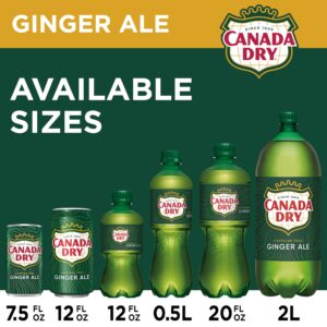 CANADA DRY GINGER ALE