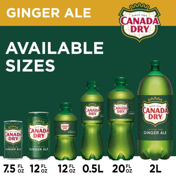 CANADA DRY GINGER ALE
